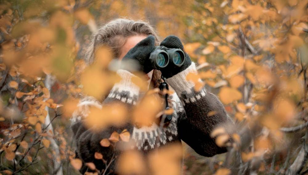 Eine Person mit einem Fernglas beim Beobachten der Hirschbrunft auf dem Darß.