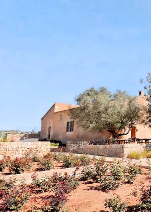 Gebäude des Landguts und Olivenmanufaktur Aubocassa auf Mallorca.