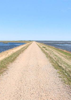 Deichlaufstrecke auf Sylt, ein gerader Schotterweg mit Aussicht auf das Meer und die umliegende Natur