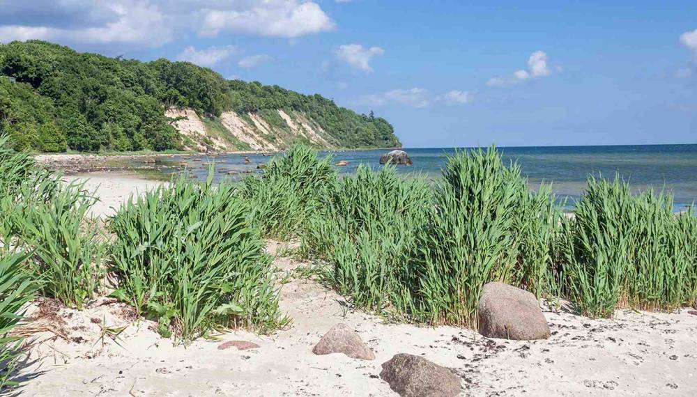 Steilküste, Strand und Natur am Kap Nordperd bei Göhren auf Rügen.