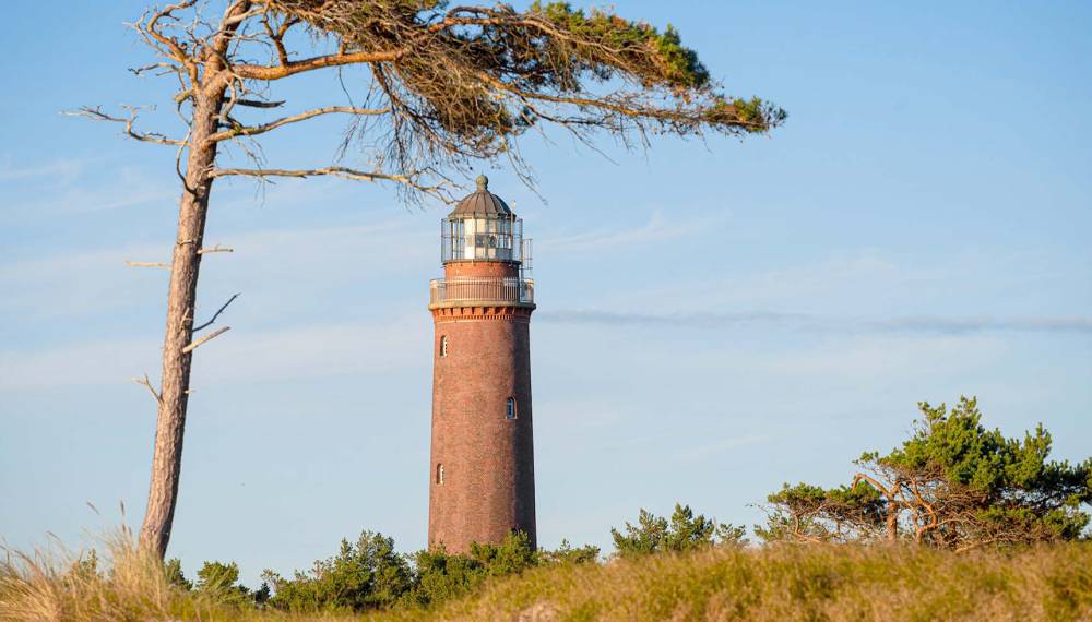 Der Leuchtturm Darßer Ort – umgeben von unberührter Natur und den typischen Windflüchtern.