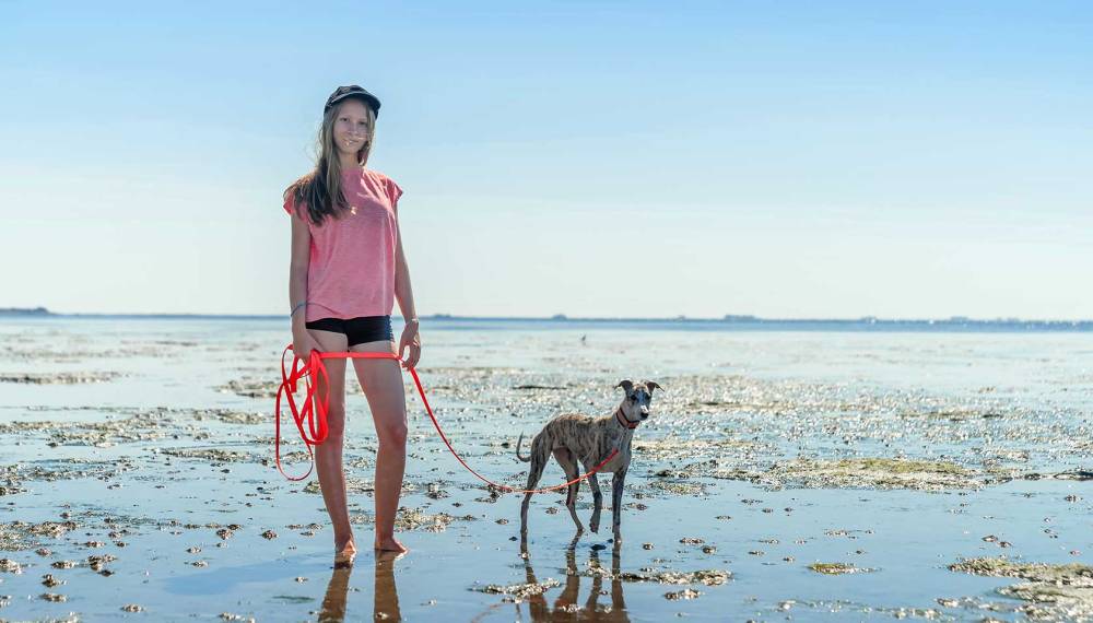 Junge Frau geht mit ihrem Hund durch das Watt auf Sylt.