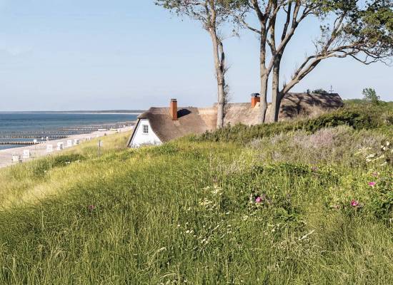 Reetdachhaus in Ahrenshoop umgeben von Dünen und Gräsern, idyllische Lage in der Natur.