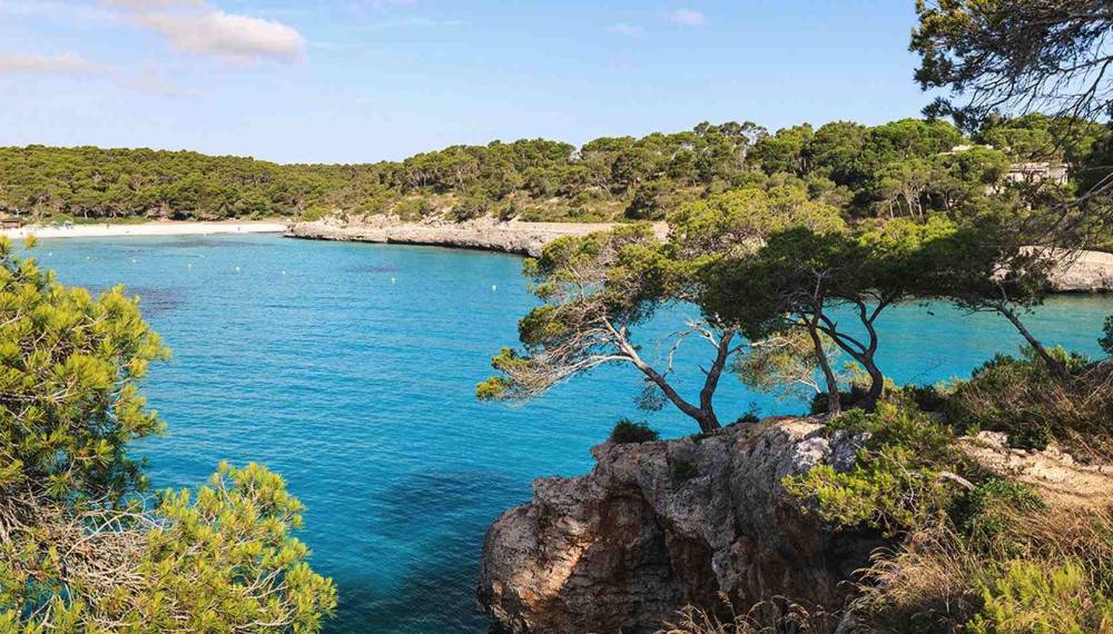 Bucht Cala Mondragó auf Mallorca mit türkisblauem Wasser, Pinien und felsiger Küste.