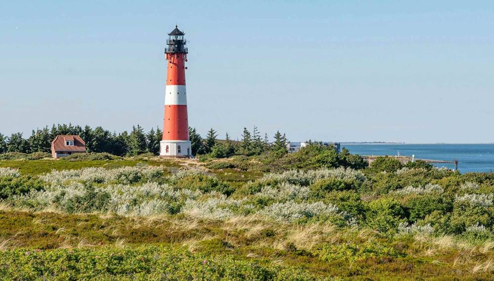 Leuchtturm inmitten grüner Dünenlandschaft auf Sylt mit Blick auf die Nordsee.