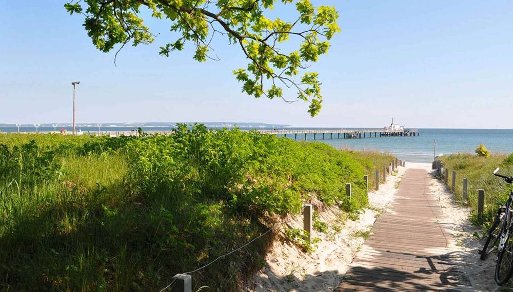 Holzweg führt durch Dünen zum Strand und zur Seebrücke an der Ostsee.