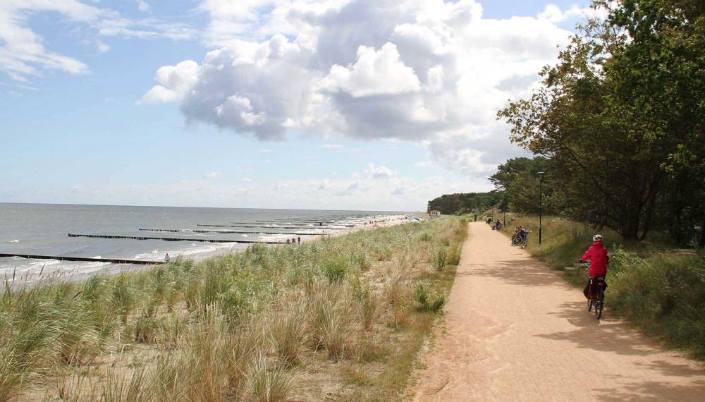 Fahrradweg entlang des Usedomer Strandes, gelegen zwischen dem Meer und den Bäumen.